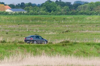 Zeelandrit-Schouwen-Duiveland-editie